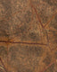 Cómoda Árbol