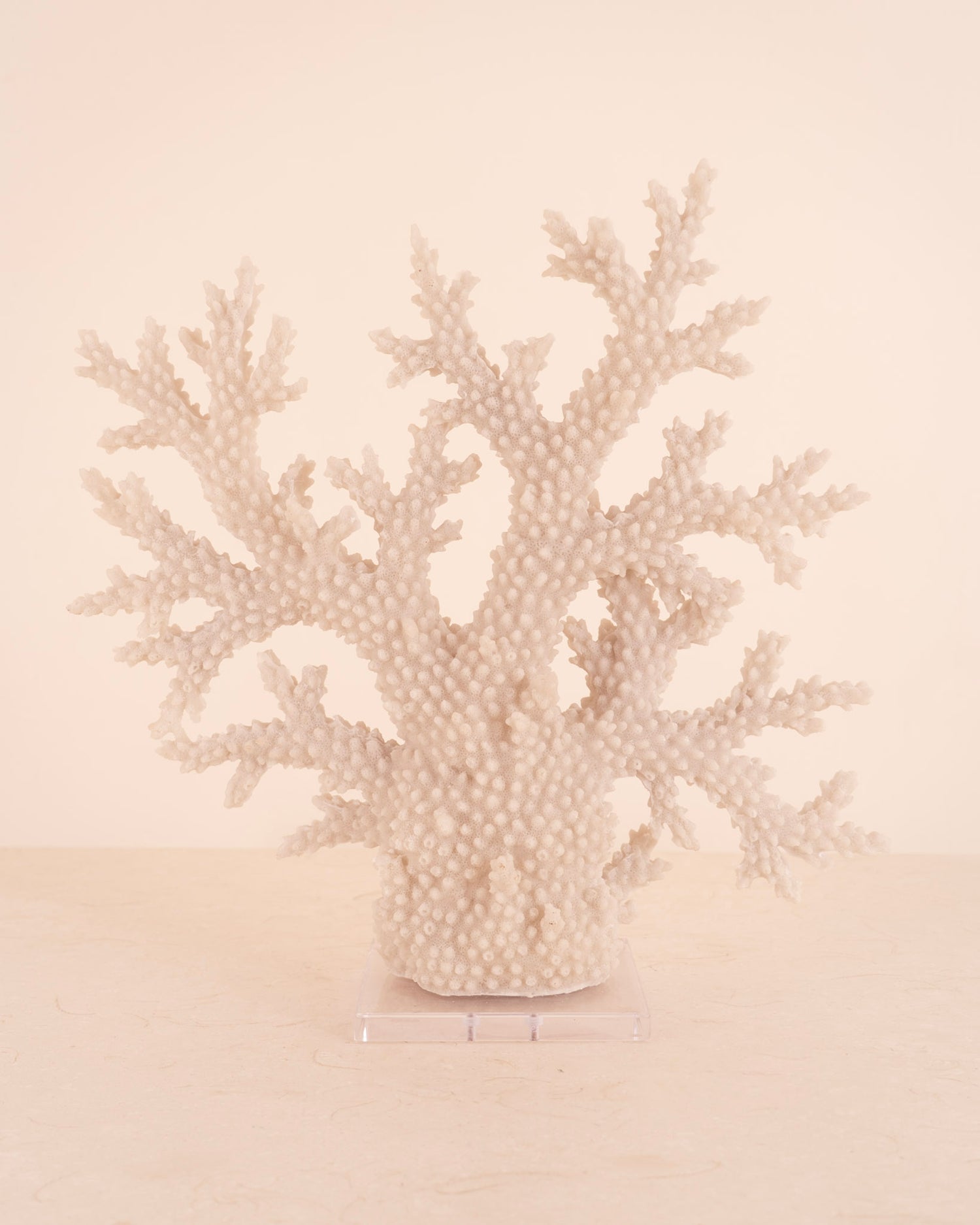 Coral Extremo