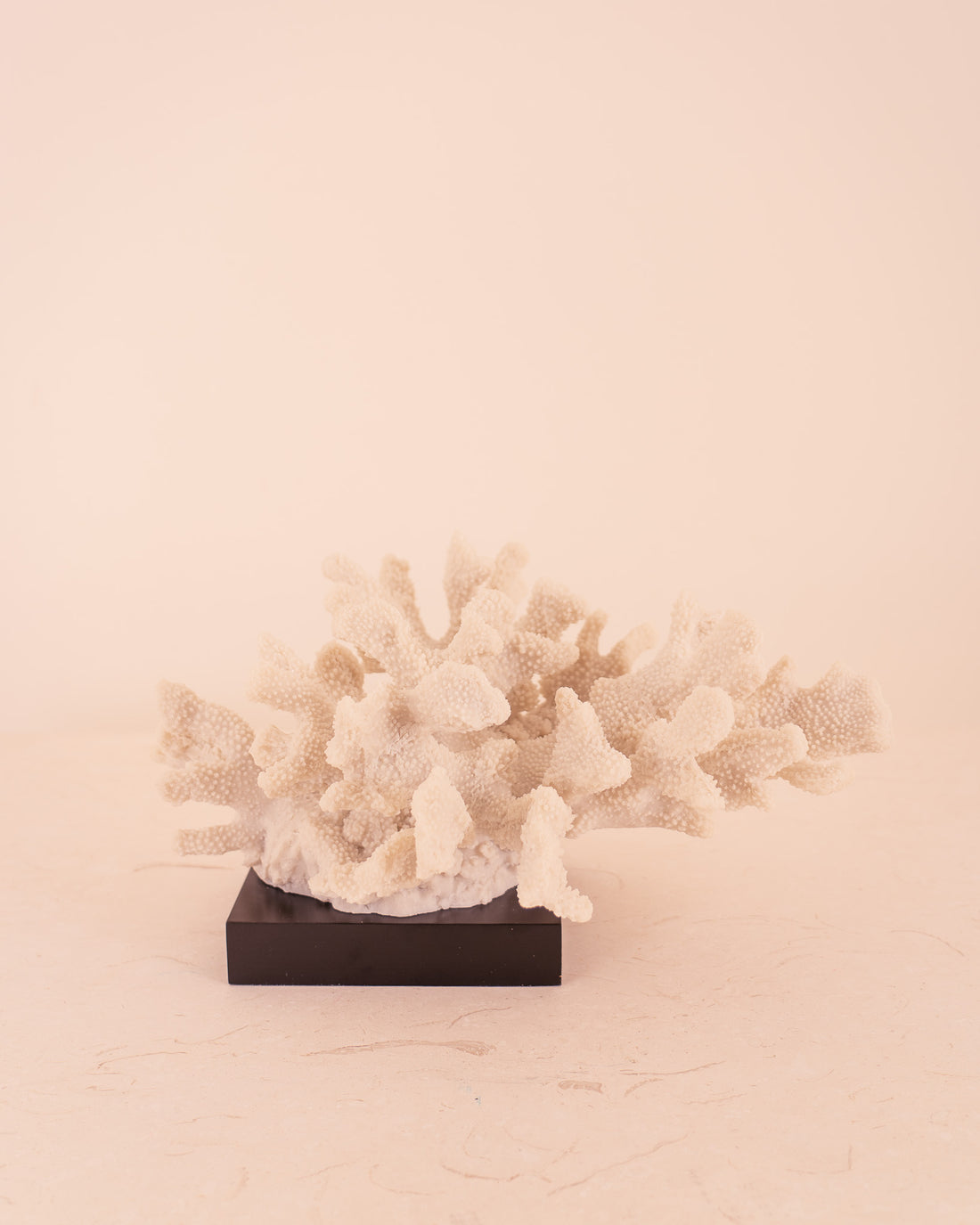 Figura Coral L