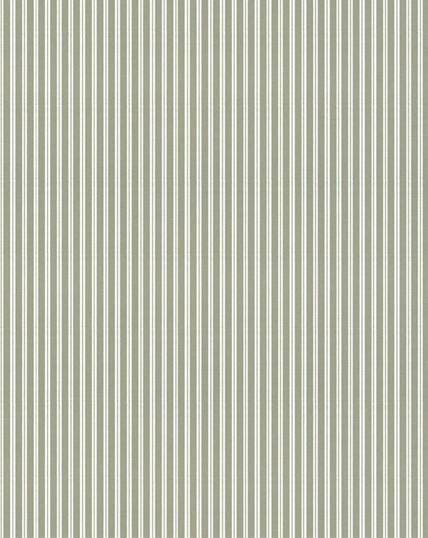 Papel pintado Bosque
