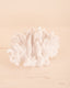 Coral Small